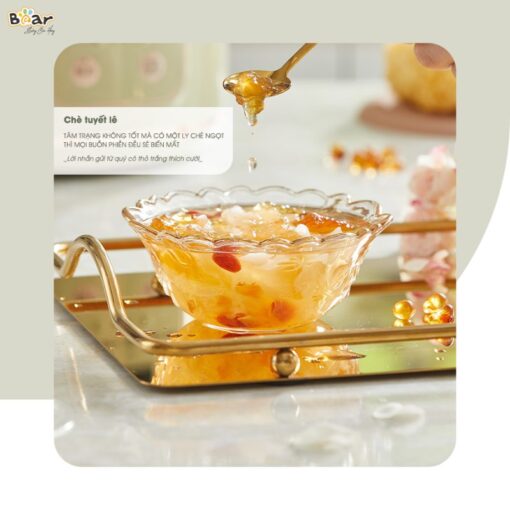 Nồi nấu chậm Bear SB-NNC20
