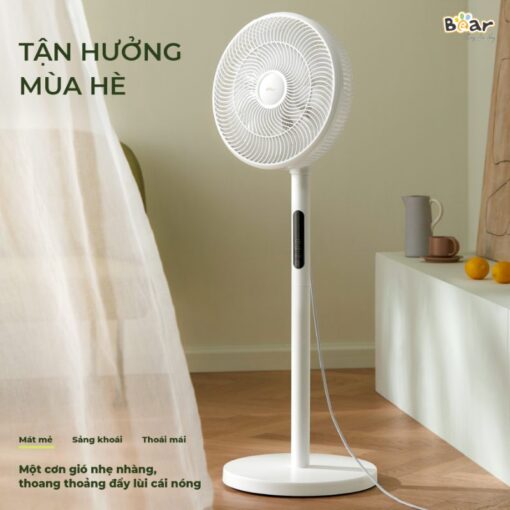 Quạt cây Bear DFS- D47F2
