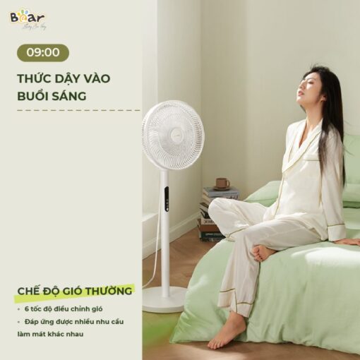 Quạt cây Bear DFS- D47F2