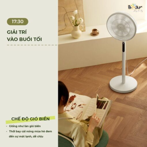 Quạt cây Bear DFS- D47F2