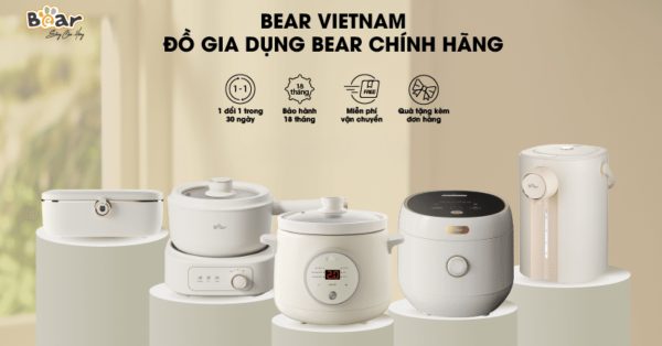 thương hiệu bear của nước nào