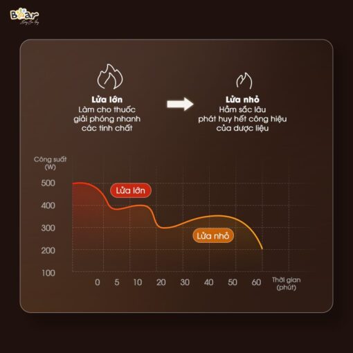 Ấm sắc thuốc Bear SB-AST35