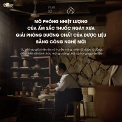 Ấm sắc thuốc Bear SB-AST35