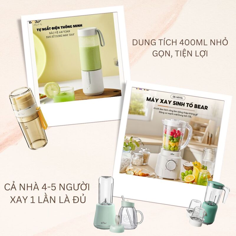 máy xay sinh tố bear