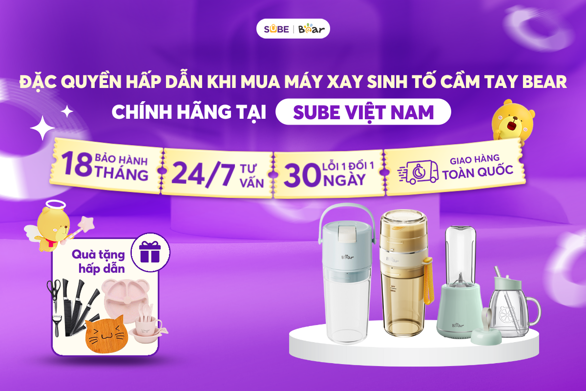 review máy xay sinh tố cầm tay Bear